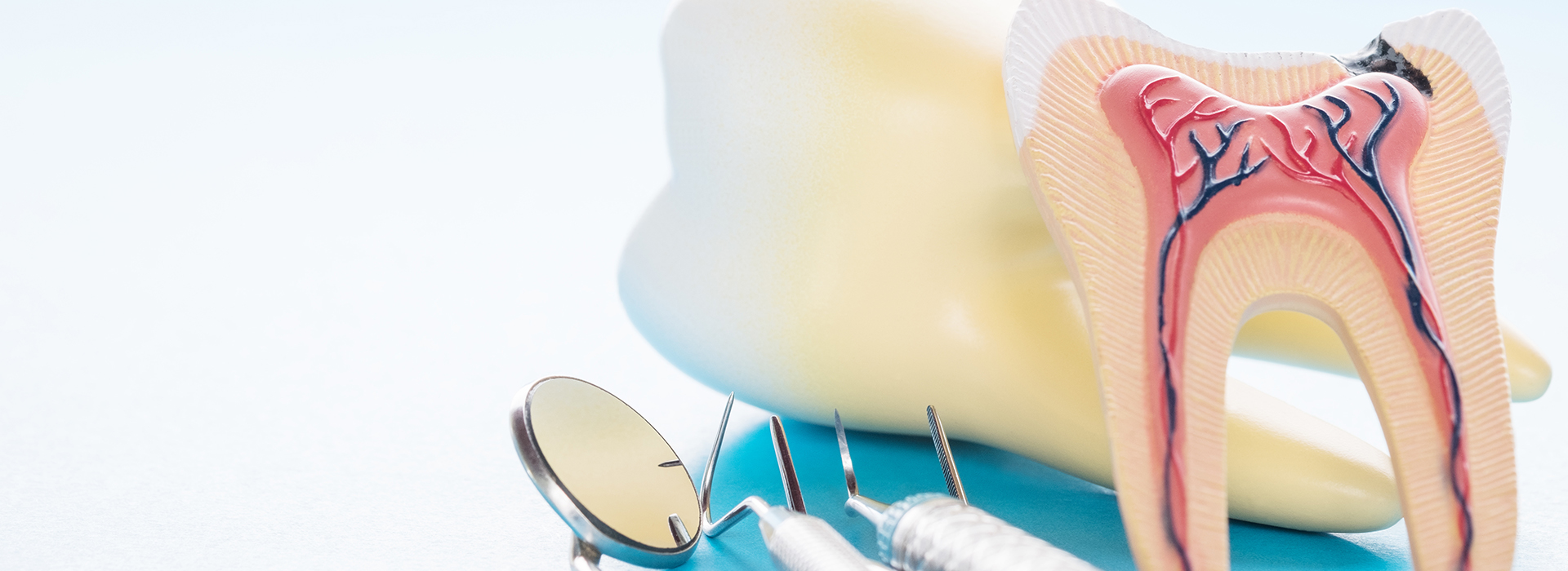 Central Park Dental Aesthetics | Dental Sealants, Invisalign reg  and Bone Grafting